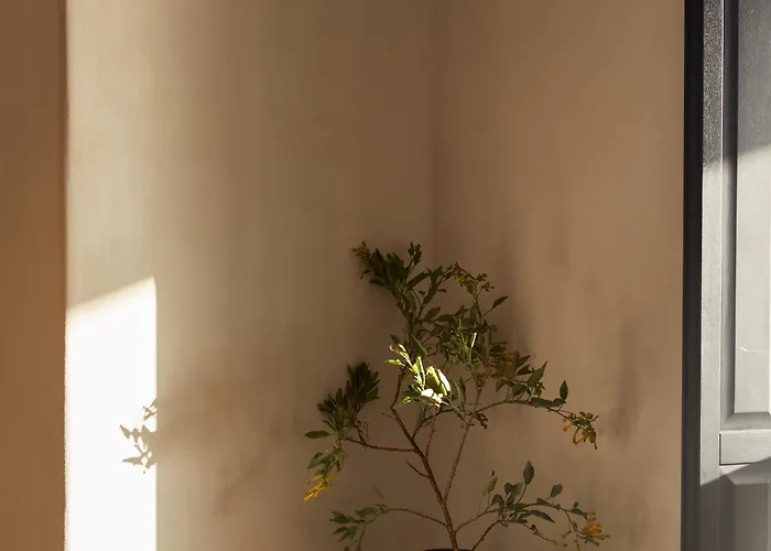 Anandes (adults Only) Hotel 5*